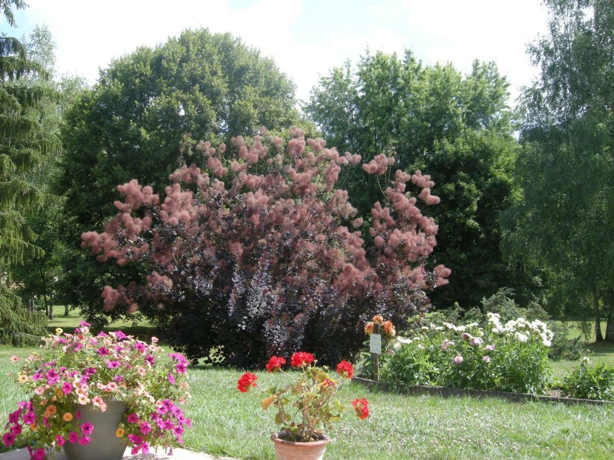 Le Grand Pre Bed & Breakfast Daillancourt Екстериор снимка